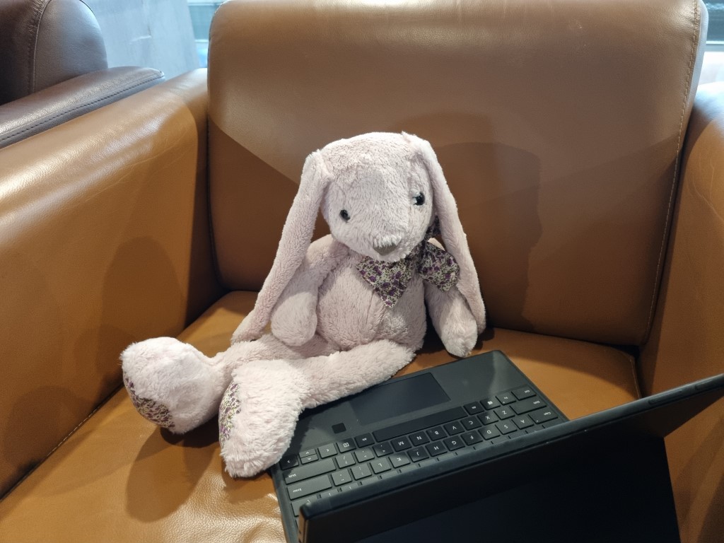 Bunny catching up on some reading in the Bangkok Lounge