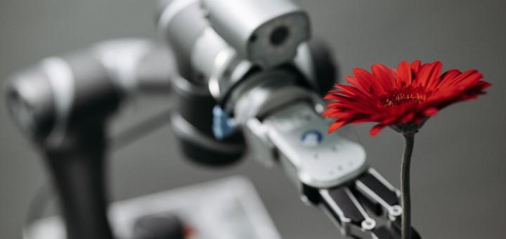 A robot hand holding a red flower